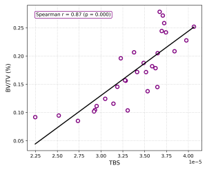 Scatter plot showing correlation between DXA-derived trabecular bone score (TBS) and micro-CT bone volume fraction (BV/TV)